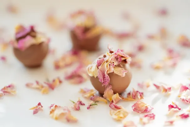 카지노 베가스 스핀스 안드로이드/iOS 앱